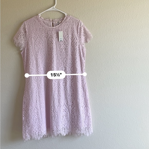 MI AMI - Francesca’s - Boutique Pink Lace Mini Dress Cap Sleeve Women’s Large - Picture 4 of 15